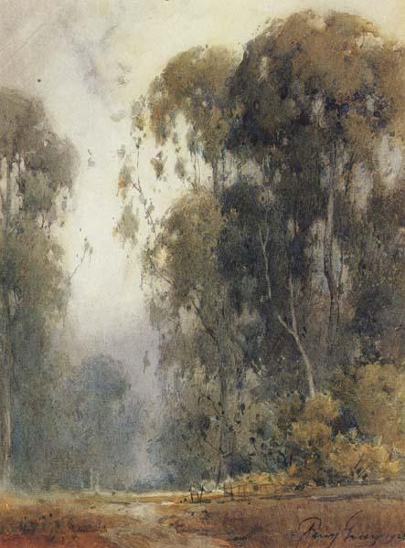 unknow artist Eucalyptus Trees Spain oil painting art